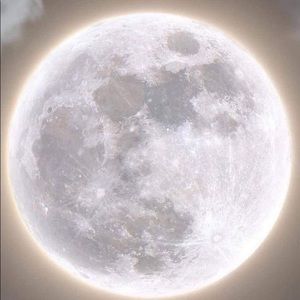 Meet your Posher, Kyley